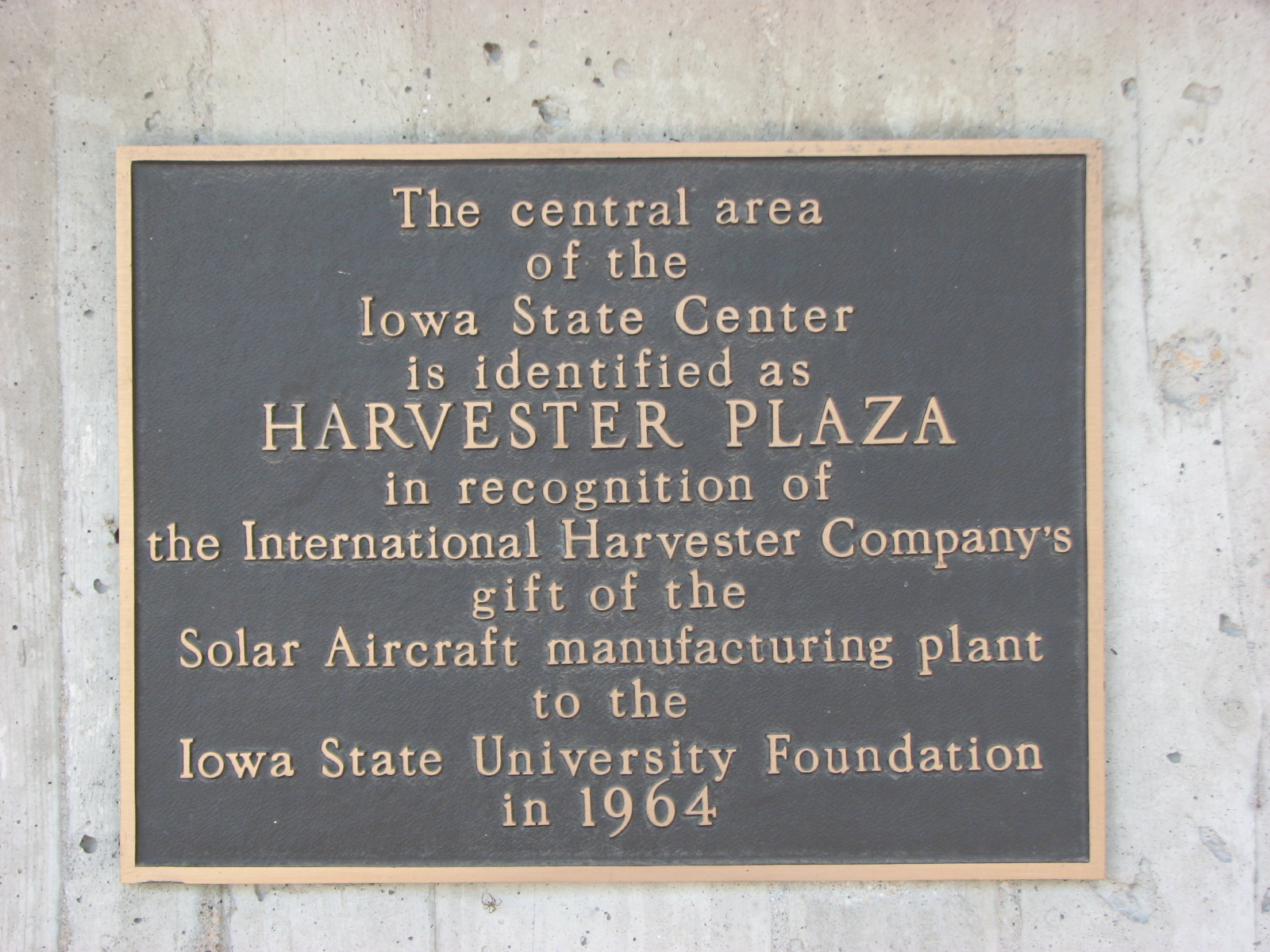 closeup photo